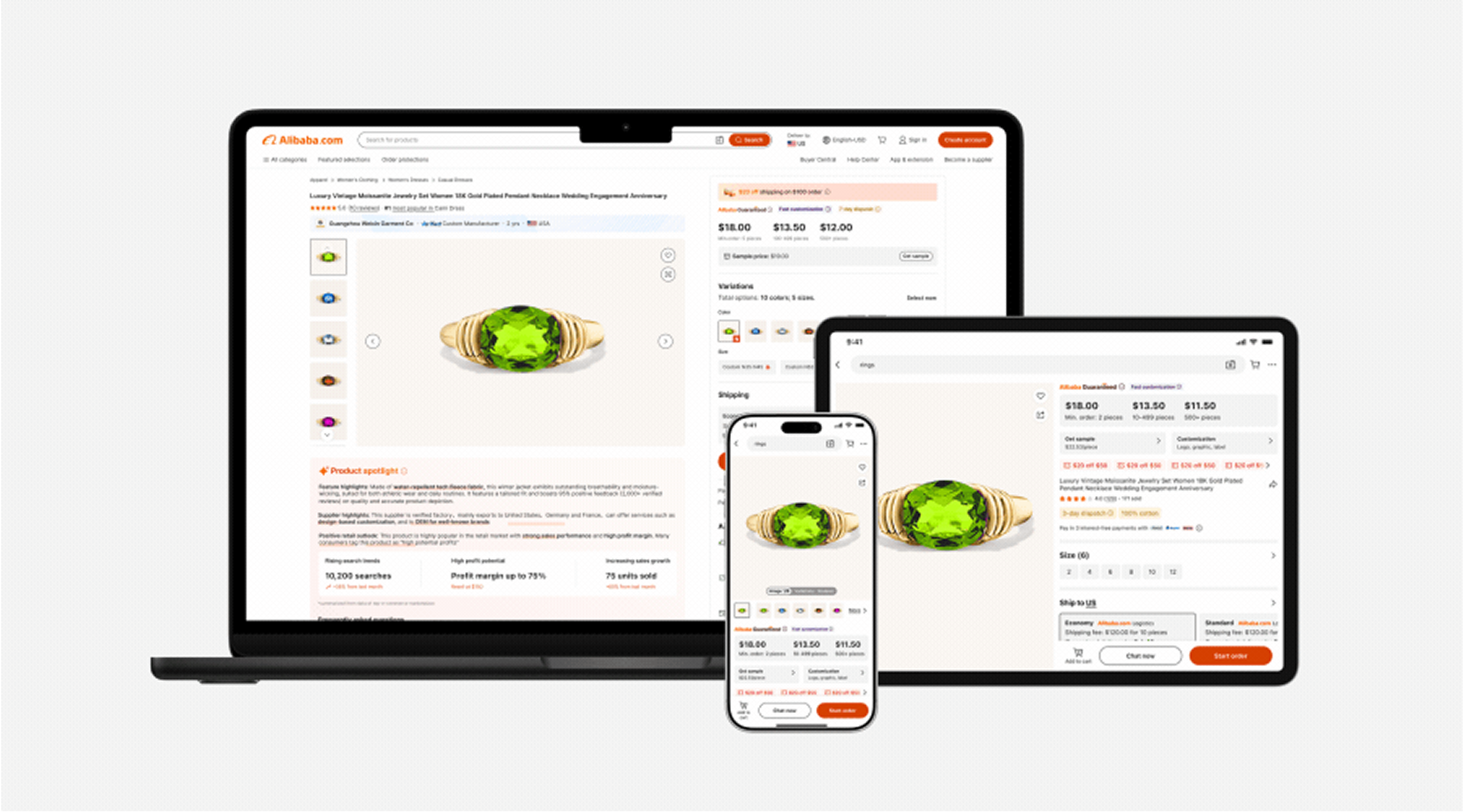 Responsive ecommerce design preview